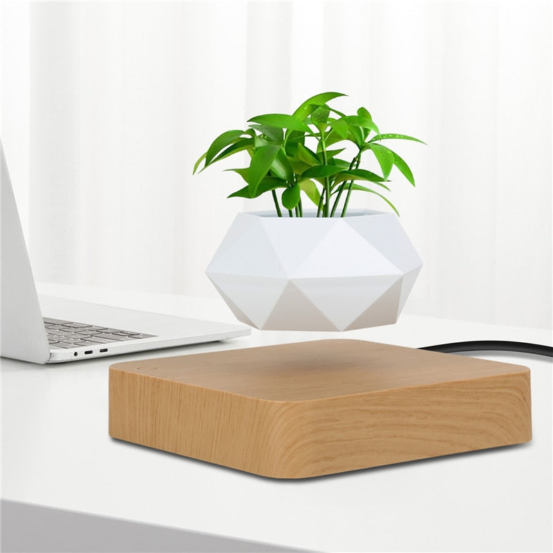Vaso de Plantas Flutuante - A decoração do Futuro!