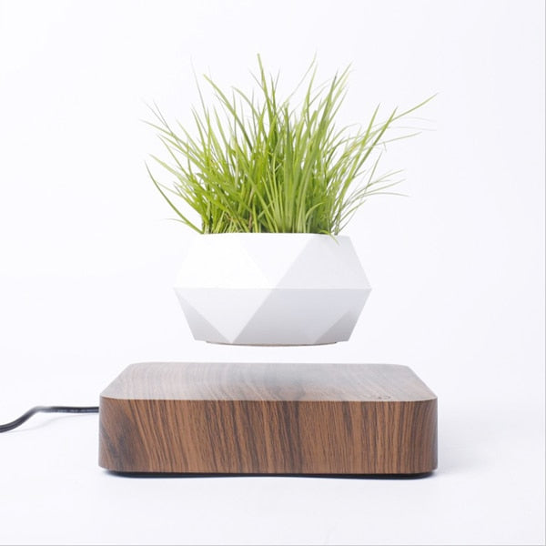 Vaso de Plantas Flutuante - A decoração do Futuro!