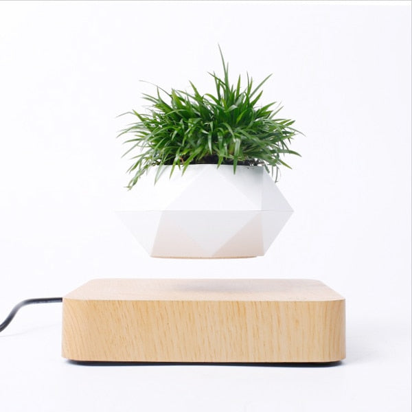 Vaso de Plantas Flutuante - A decoração do Futuro!