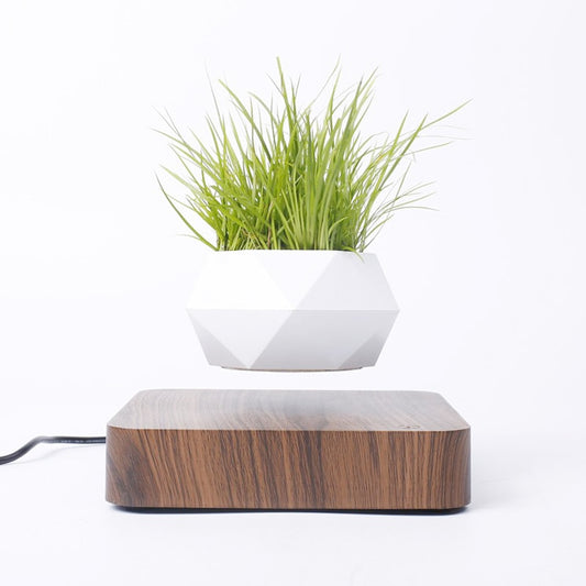 Vaso de Plantas Flutuante - A decoração do Futuro!